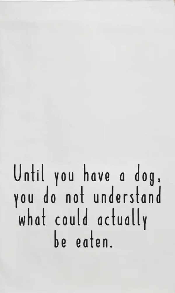 Until You Have a Dog