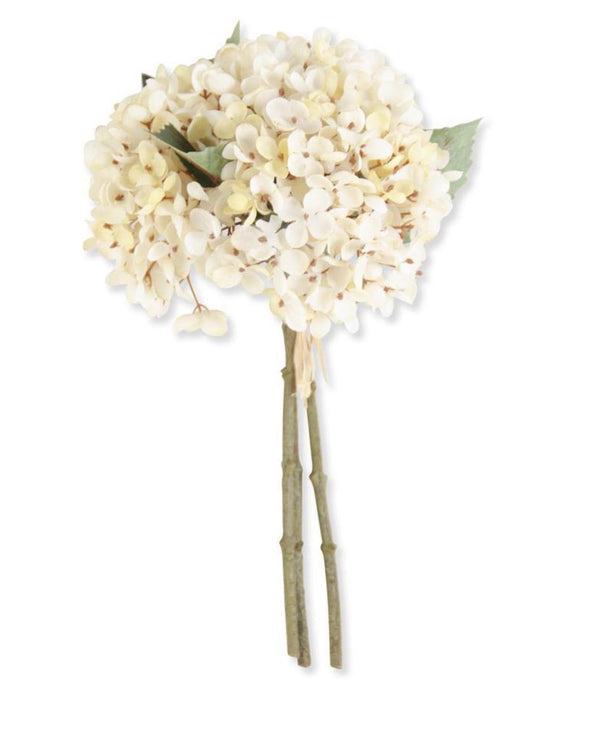 Two Tone Hydrangea Bundle