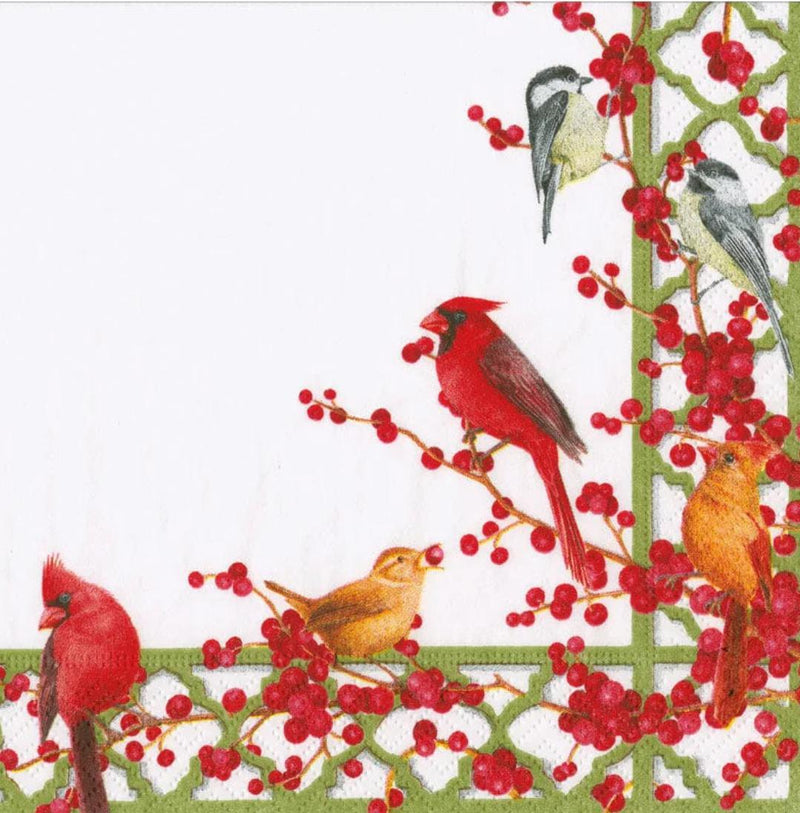 Caspari Winter Birds and Berries