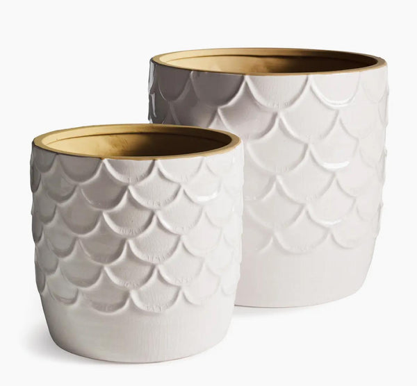 Wave Pot