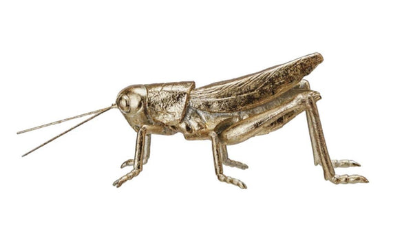 Gold Leaf Grasshopper