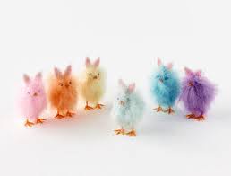 Feathery Chicks