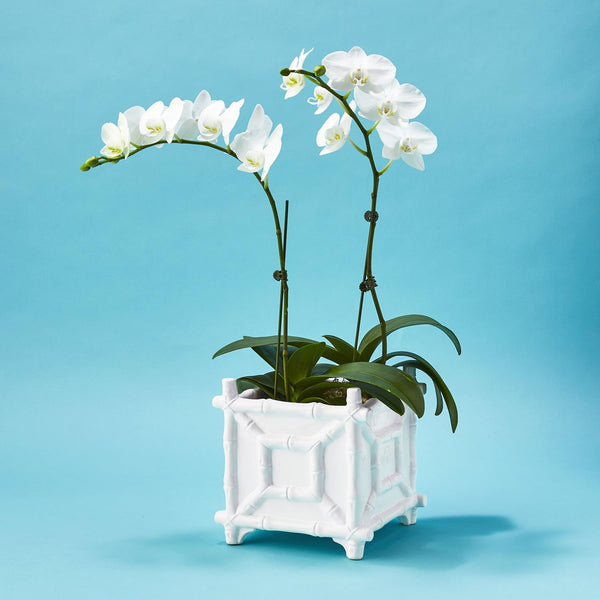 White Faux Bamboo Cachepot
